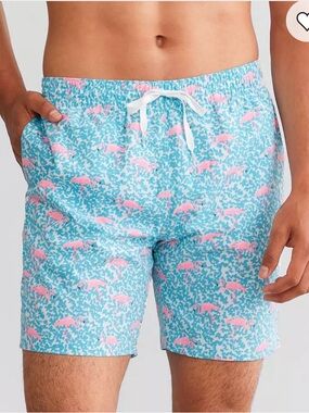 chubbies Aqua Swim Trunks with Pink Flamingo Print